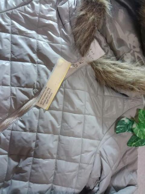 Ray Csssin  LgWp[   F  Vi8295~  uh 