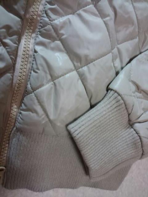 Ray Csssin  LgWp[   F  Vi8295~  uh 