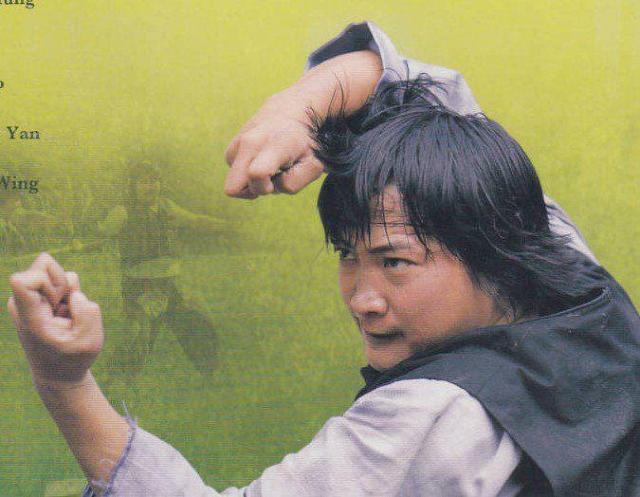 ☆燃えよデブゴン5(モンキーフィスト猿拳)ユンピョウ < CD/DVD/ビデオ  ☆燃えよデブゴン5(モンキーフィスト猿拳)ユンピョウ < CD/DVD/ビデオの