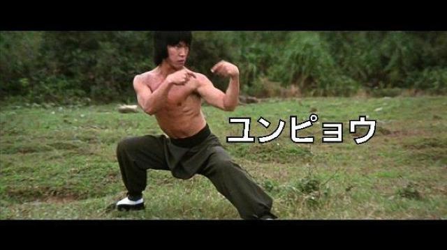 ☆燃えよデブゴン5(モンキーフィスト猿拳)ユンピョウ < CD/DVD/ビデオ  ☆燃えよデブゴン5(モンキーフィスト猿拳)ユンピョウ < CD/DVD/ビデオの