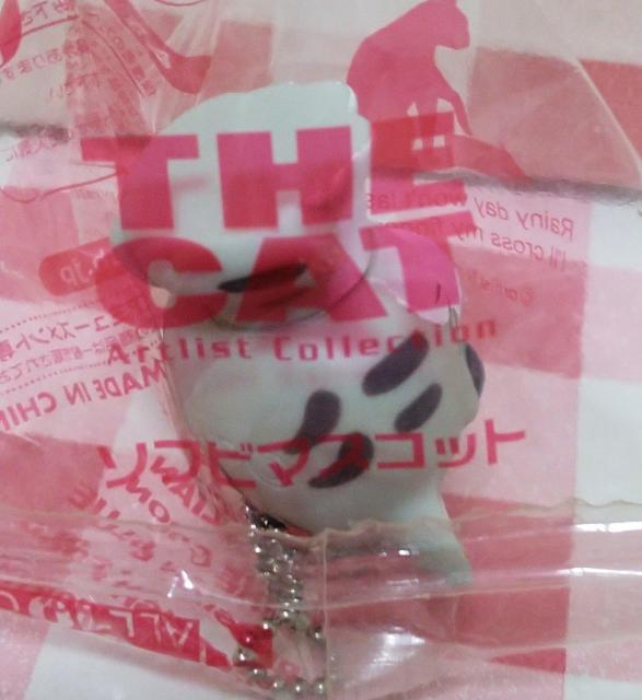 THE CAT \tr}XRbg   