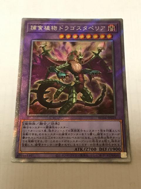 遊戯王 捕食植物ドラゴスタペリア RC04-JP028 エクストラシークレットレア < トレーディングカード  遊戯王 捕食植物ドラゴスタペリア RC04-JP028 エクストラシークレットレア  < トレーディングカードの