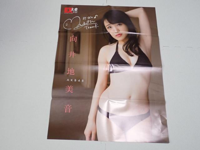 |X^[ AKB48 n EXO 2017.4  ^gObY 