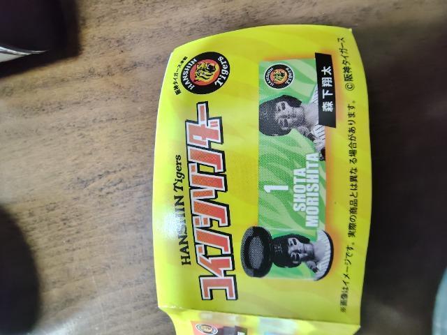 ��_�^�C�K�[�X���K�`���������P�����R�C���V�����_�[ �� ���W���[/�X�|�[�c�� 