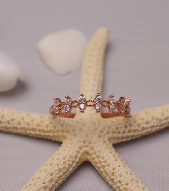 w Cz_C NE O 蕨 Mtg fB[XsNS[h Vi  ANZT[/v 