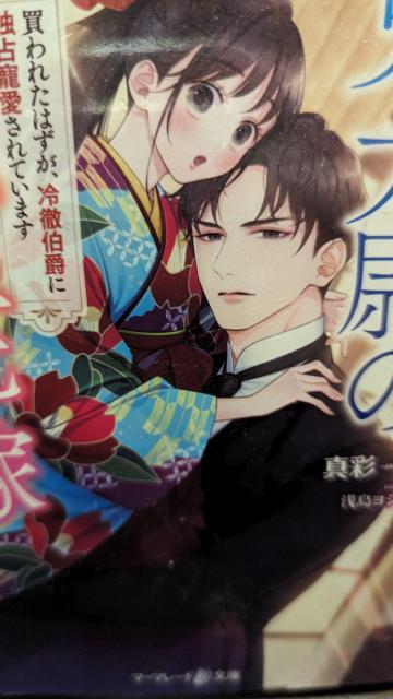 Sт̐щԉŁ^ʁ}[}[h   {/G 