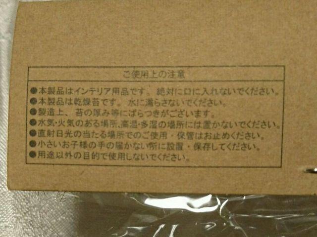 Vi   RP VR VR  [X VR  A  ybg/|/| 