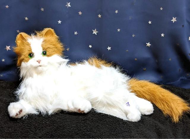 L A {bg mEF[WtHXgLbg L ybg  ߋ i ʂ l` h[ u     