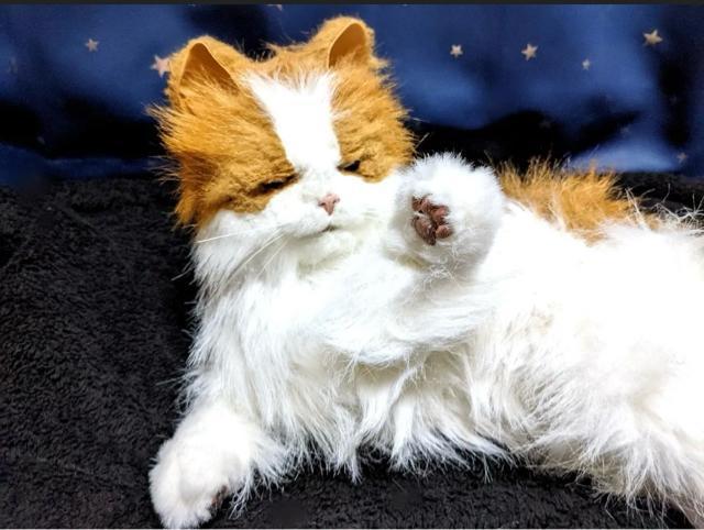 L A {bg mEF[WtHXgLbg L ybg  ߋ i ʂ l` h[ u    