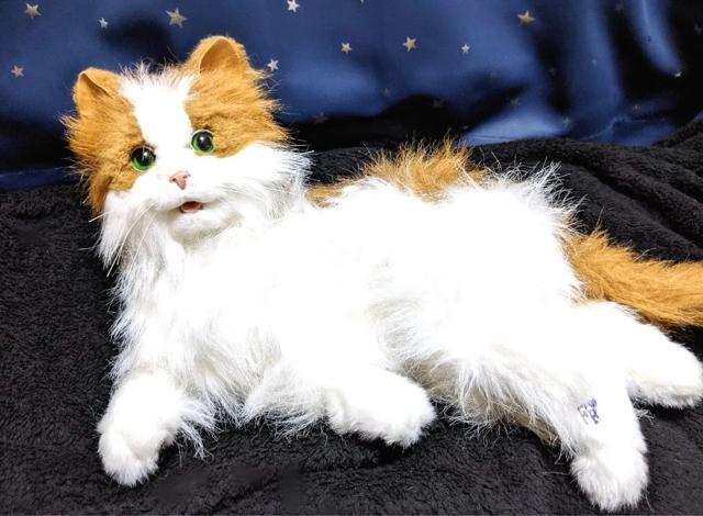 L A {bg mEF[WtHXgLbg L ybg  ߋ i ʂ l` h[ u    