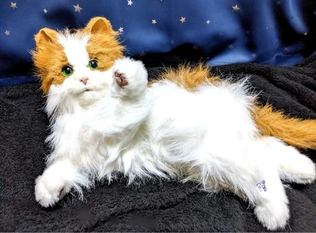 L A {bg mEF[WtHXgLbg L ybg  ߋ i ʂ l` h[ u    