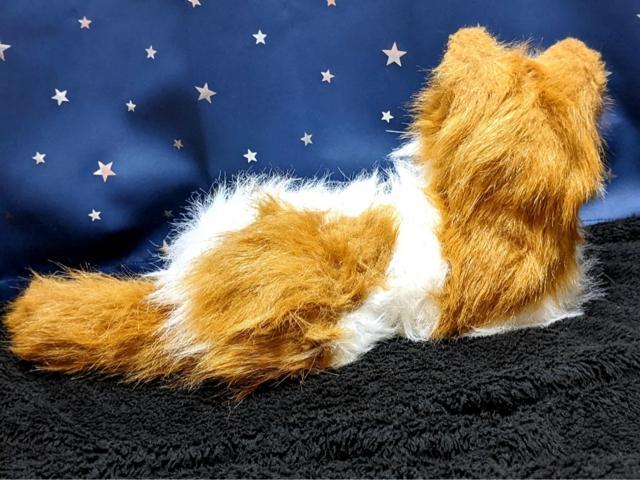 L A {bg mEF[WtHXgLbg L ybg  ߋ i ʂ l` h[ u    