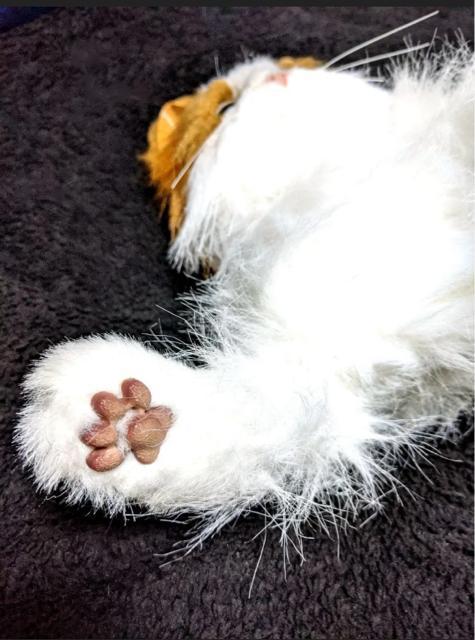 L A {bg mEF[WtHXgLbg L ybg  ߋ i ʂ l` h[ u    