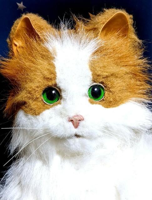 L A {bg mEF[WtHXgLbg L ybg  ߋ i ʂ l` h[ u    