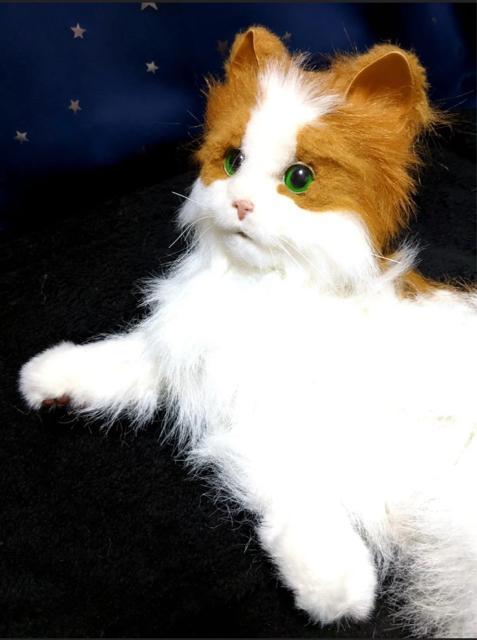 L A {bg mEF[WtHXgLbg L ybg  ߋ i ʂ l` h[ u    