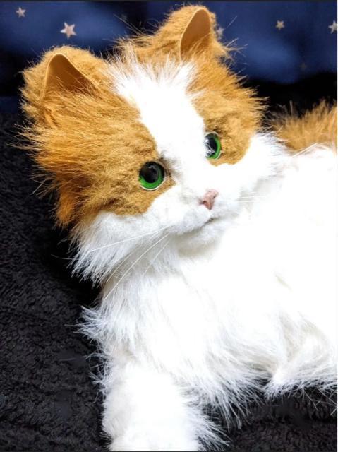 L A {bg mEF[WtHXgLbg L ybg  ߋ i ʂ l` h[ u    