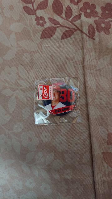 カープバッチ 一岡 < レジャー/スポーツ  カープバッチ 一岡  < レジャー/スポーツの