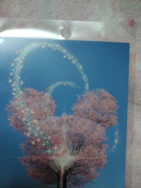 ディズニー ミッキー&ミニー ☆ ポストカード 桜  B柄 A < アニメ/コミック/キャラクター  ディズニー ミッキー&ミニー ☆ ポストカード 桜  B柄 A < アニメ/コミック/キャラクターの