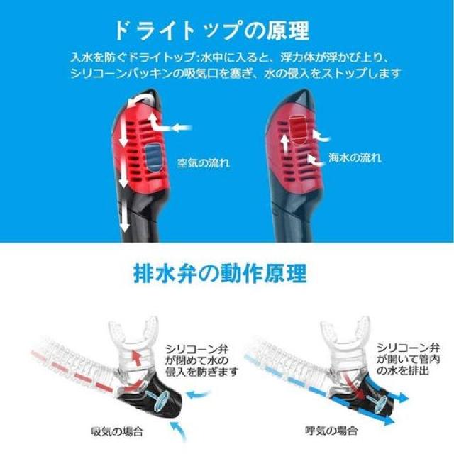 シュノーケリング セット < レジャー/スポーツ  シュノーケリング セット < レジャー/スポーツの