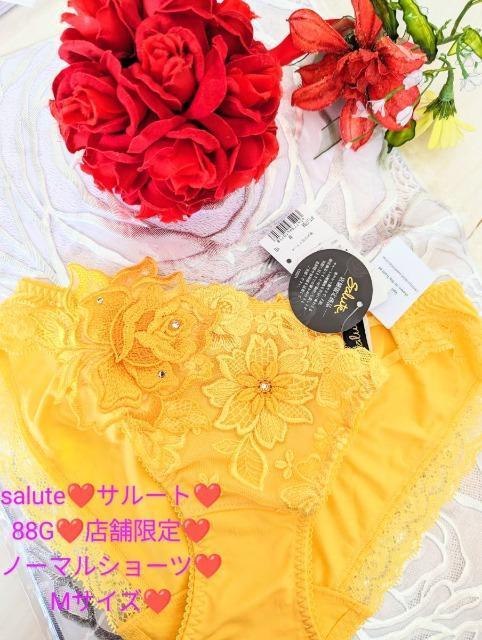 Wacoal/ワコール/salute/サルート/店舗限定/88G/ブリジット/ノーマルショーツ/スタンダードショーツ/M/YE < 女性ファッション  Wacoal/ワコール/salute/サルート/店舗限定/88G/ブリジット/ノーマルショーツ/スタンダードショーツ/M/YE  < 女性ファッションの