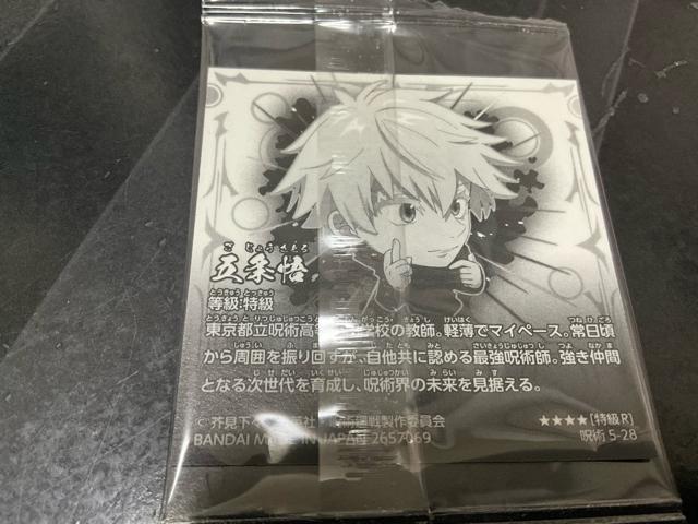 ��p����@�ɂӂ���߃V�[���E�G�n�[�X�@�܏���搶�@�̈�W�J �� �A�j��/�R�~�b�N/�L�����N�^�[�� 