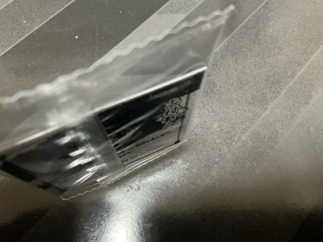 �⍰�@�u���V���@�ɂӂ���߃V�[���E�G�n�[�X�@���܂��V�[���@SR  �X�[�p�[���A �� �^�����g�O�b�Y�� 