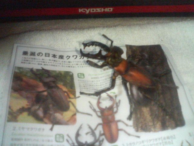 ガチャ ミヤマクワガタ 海洋堂 < ホビー ガチャ ミヤマクワガタ 海洋堂 < ホビーの