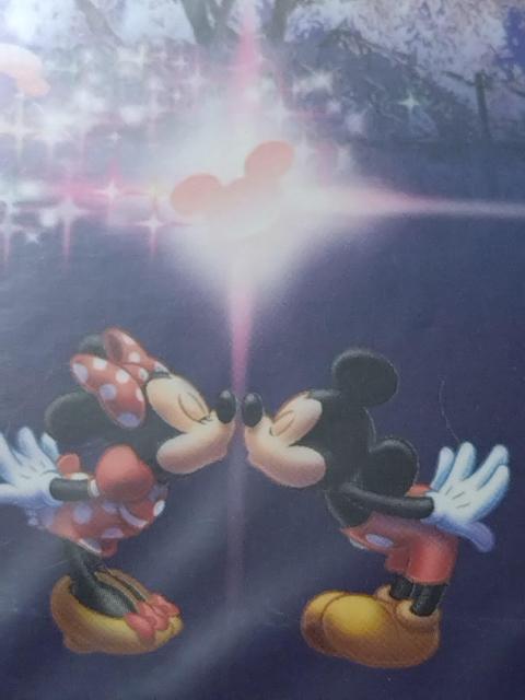 ディズニー ミッキー&ミニー ☆ ポストカード 桜柄 C柄 A < アニメ/コミック/キャラクター  ディズニー ミッキー&ミニー ☆ ポストカード 桜柄 C柄 A < アニメ/コミック/キャラクターの