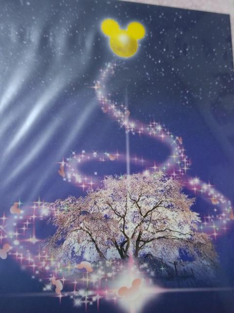 ディズニー ミッキー&ミニー ☆ ポストカード 桜柄 C柄 A < アニメ/コミック/キャラクター  ディズニー ミッキー&ミニー ☆ ポストカード 桜柄 C柄 A < アニメ/コミック/キャラクターの