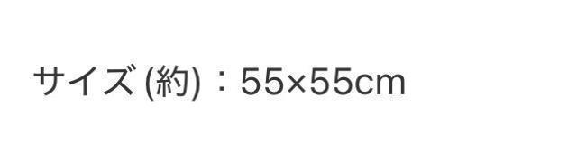 smart�G���t�^��A BATHING APE �o���_�i�� �� �u�����h�� 