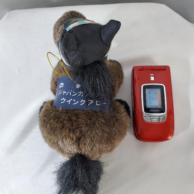 ����1��W���p���J�b�v�_�[�g��6���E�C���O�A���[�ʂ�����݁� �� ��������� 