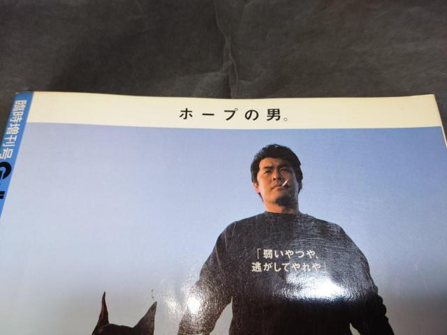 Վ Gallop'99 / JRAdܔN TMbv TGallop n t^J_[  {/G 