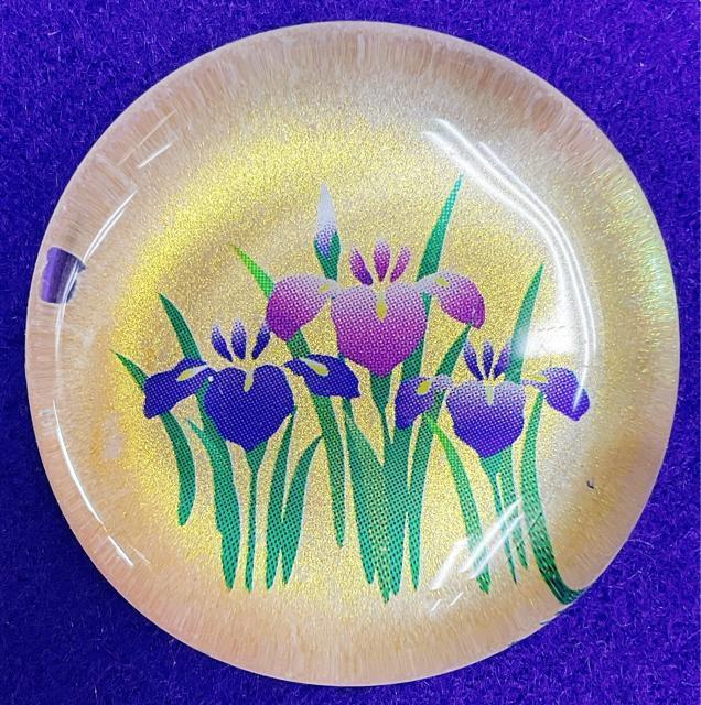 ܌y[ 4ZbgzKX u  ԏҊ qǂ̓ ߋ [߂̐ߋ NX^ Vigpi  CeA/Ct 