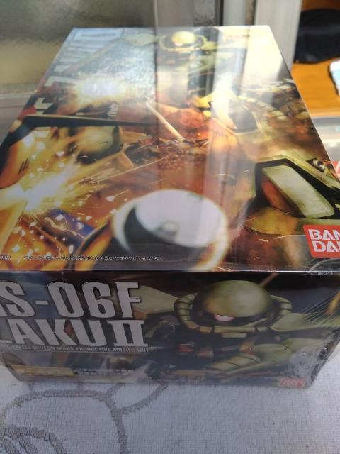 MG1/100 MS-06F �U�N�U �� �z�r�[�� 