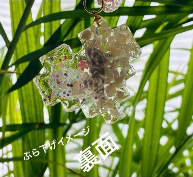 �A�����J���V���[�g�w�A�@�L�[�z���_�[�@�������� �� �����t�@�b�V������ 