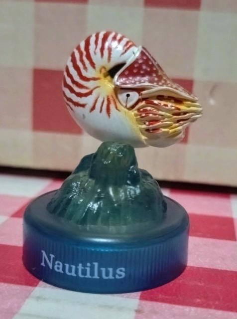 『オウムガイ』MIU 深海生物フィギュアコレクション < ホビー 『オウムガイ』MIU 深海生物フィギュアコレクション < ホビーの