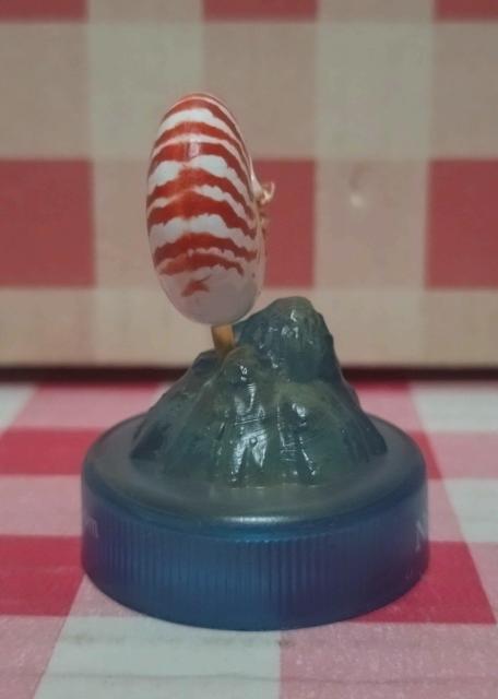 『オウムガイ』MIU 深海生物フィギュアコレクション < ホビー 『オウムガイ』MIU 深海生物フィギュアコレクション < ホビーの