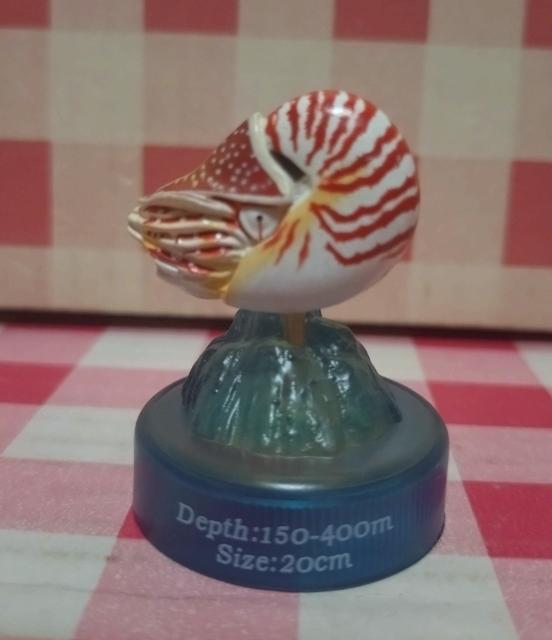 『オウムガイ』MIU 深海生物フィギュアコレクション < ホビー 『オウムガイ』MIU 深海生物フィギュアコレクション < ホビーの