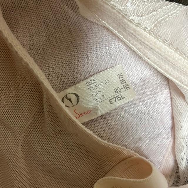 ^Xi@ߗށ@܂ƂOK z[N[jOς݁@{fBX[c@sN@E75L  t@bV 