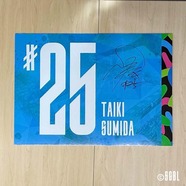 #25 pc PI MTC胍bJ[[pl 