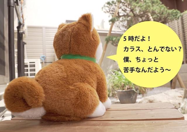 送料無料 パートナーズ こんにちワン しばいぬコウタ ペットの人形なら 会話 ロボット 人形 おしゃべり 柴犬 ワンちゃん ドッグ < おもちゃ 送料無料 パートナーズ こんにちワン しばいぬコウタ ペットの人形なら 会話 ロボット 人形 おしゃべり 柴犬 ワンちゃん ドッグ < おもちゃの