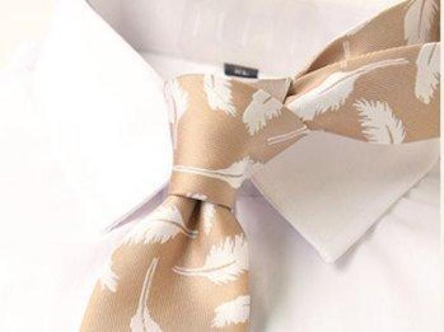 ネクタイ メンズ カジュアル オシャレ フェザー柄 ベージュ < 男性ファッション ネクタイ メンズ カジュアル オシャレ フェザー柄 ベージュ < 男性ファッションの