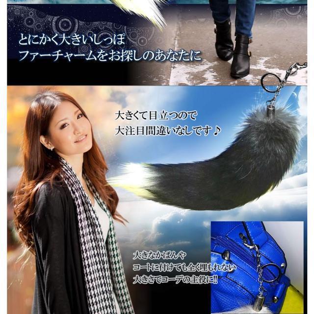 tHbNXe[DX 40cm S 嗬s t@[`[ K Lcl   L[z_[ t@bV  CeA/Ct 