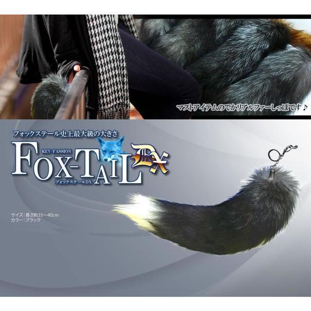 tHbNXe[DX 40cm S 嗬s t@[`[ K Lcl   L[z_[ t@bV  CeA/Ct 