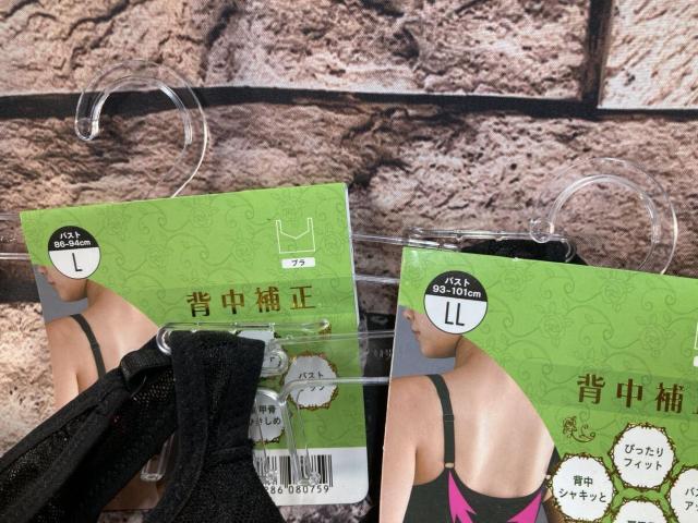 送料無料!お洒落な総メッシュ花透かし柄!背中補正でスタイルアップ!カップ付きブラジャー(2色から)1枚 < 女性ファッション  送料無料!お洒落な総メッシュ花透かし柄!背中補正でスタイルアップ!カップ付きブラジャー(2色から)1枚 < 女性ファッションの