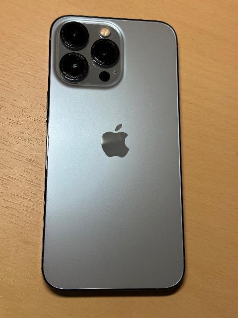 iPhone 13 Pro 1TB COSIMt[ VGu[ 1024GB  Apple Store`FbN