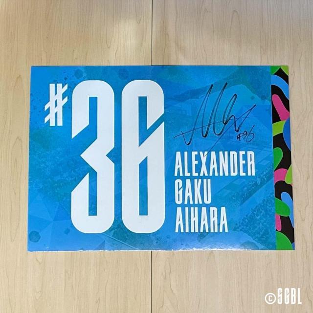 #36  ANT_[wI MTC胍bJ[[pl 