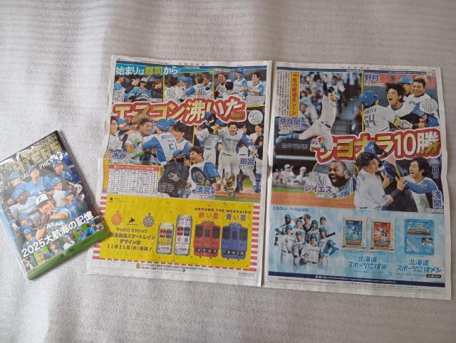  {nt@C^[Y@ 2025qC̋L@ 񓹎ʐ^W@  T[rXVt  W[/X|[c 