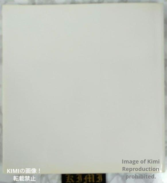 図録 CAPA IN COLOR ロバート キャパ写真展 キャパ イン カラー 単行本ソフトカバー 2005 ロバート・キャパ < 本/雑誌 図録 CAPA IN COLOR ロバート キャパ写真展 キャパ イン カラー 単行本ソフトカバー 2005 ロバート・キャパ < 本/雑誌の