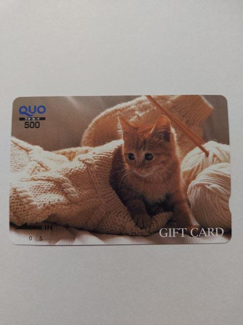 ���g�p���N�I�J�[�h���L��500�~����1����QUO�J�[�h��  �� �`�P�b�g/������ 